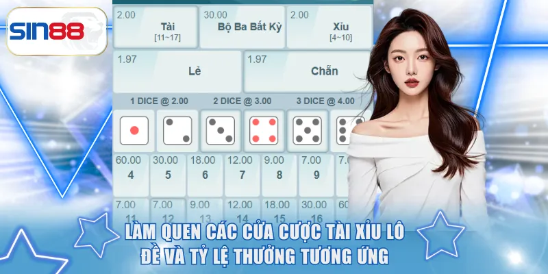 Hướng Dẫn Chơi Tài Xỉu Lô Đề SIN88 Cho Người Mới Bắt Đầu 3 Làm quen các cửa cược Tài Xỉu Lô Đề và tỷ lệ thưởng tương ứng