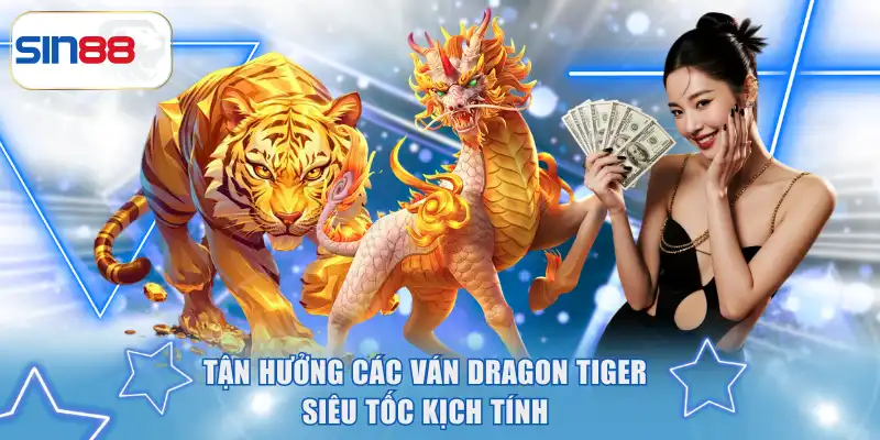 Trang Web Live Casino SIN88 - Chạm Đỉnh Chất Lượng Cực Hot 4 Tận hưởng các ván Dragon Tiger siêu tốc kịch tính